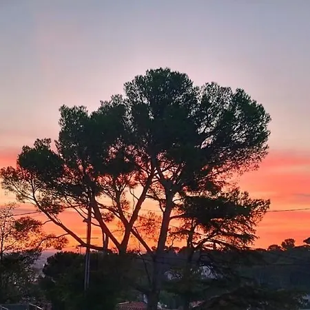 Les Jasmins * Nîmes