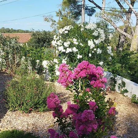 Bed & Breakfast Les Jasmins